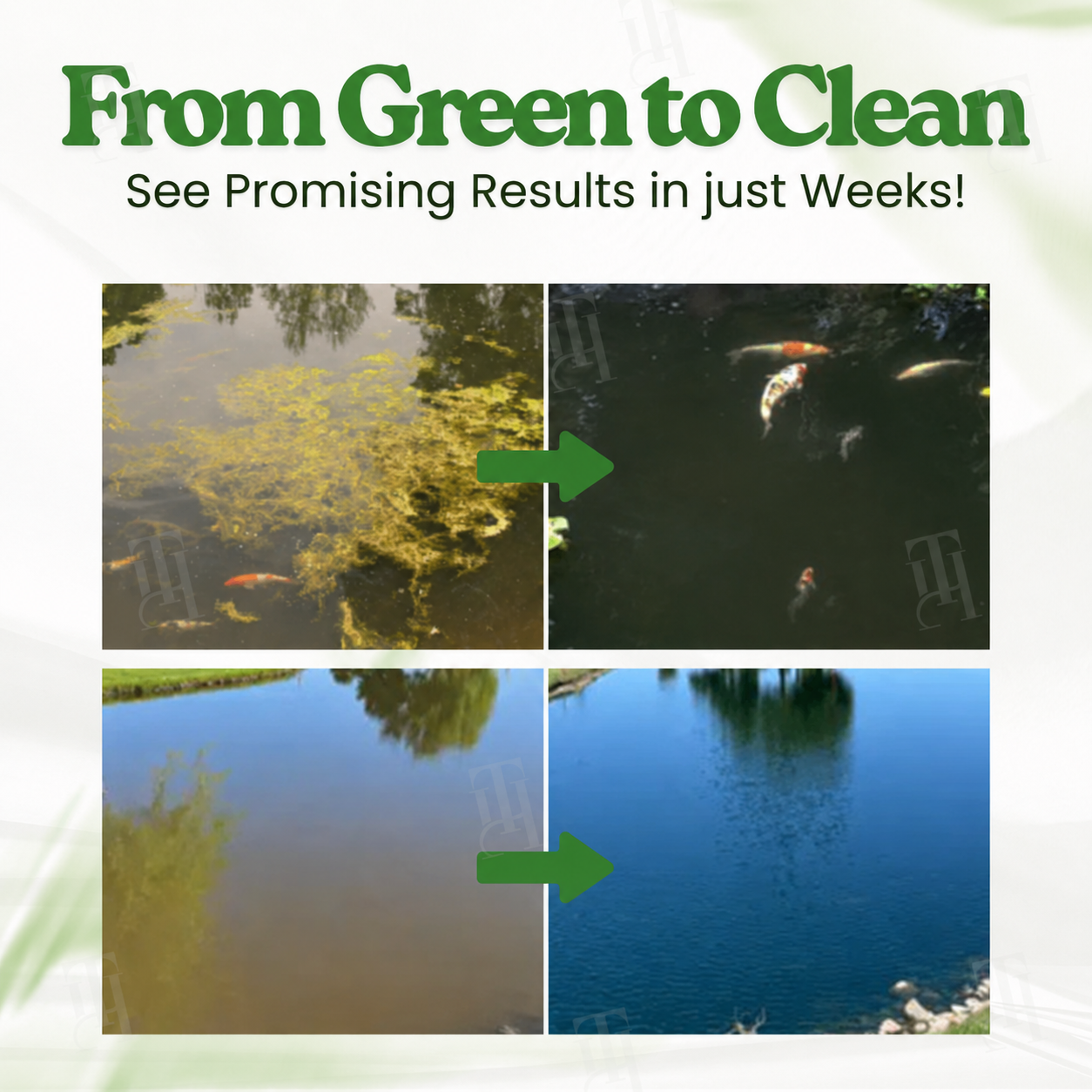 REPAIRSKINS®AQUA-SAFEGUARD- Advanced Water Care Solution -  Restore Your Pond’s Beauty Fast!